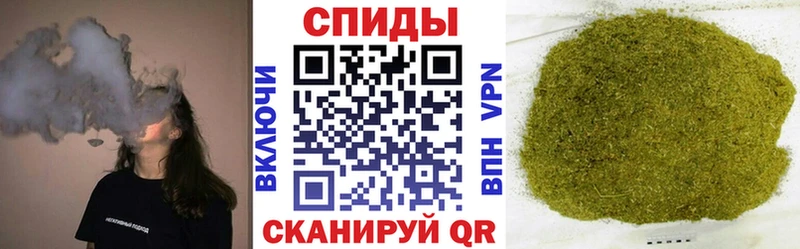 БУТИРАТ 99% где найти Новозыбков