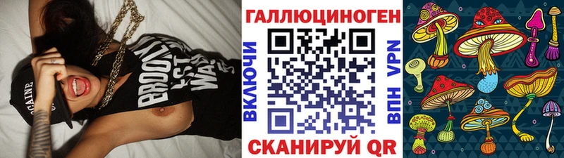 Псилоцибиновые грибы ЛСД blacksprut tor Новозыбков как найти закладки