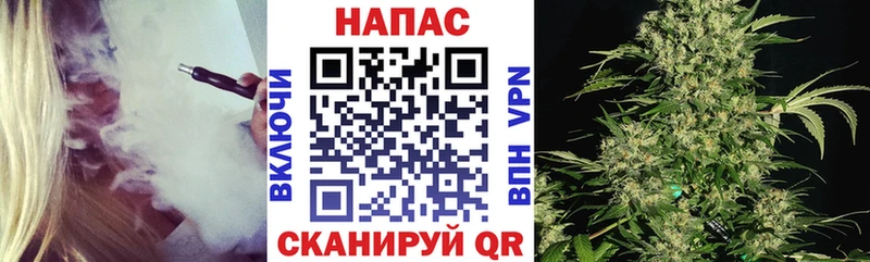 Шишки марихуана сатива  blacksprut ссылки  Новозыбков  магазин продажи  